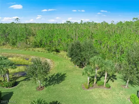 20506 Black Tree Ln, Estero, FL 33928 photo 37