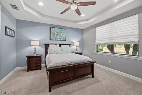 20506 Black Tree Ln, Estero, FL 33928 photo 21
