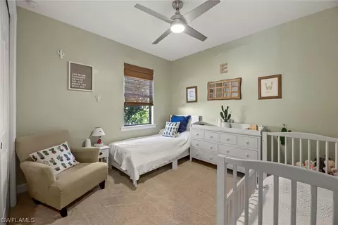 20506 Black Tree Ln, Estero, FL 33928 photo 29