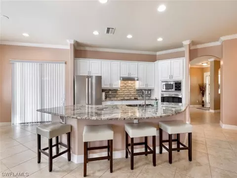 21009 Torre Del Lago St, Estero, FL 33928 photo 9