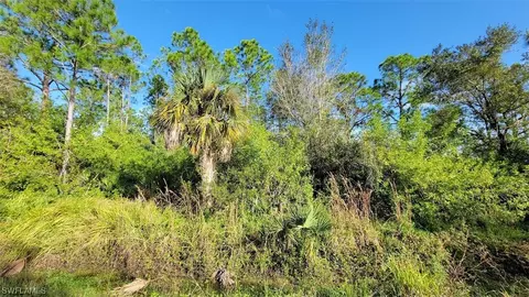 Block #17 W Jacks Branch Rd, Labelle, FL 33935