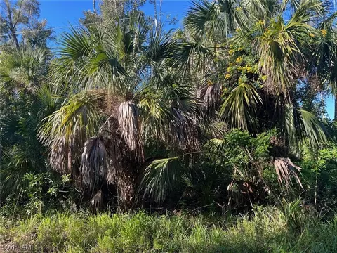 22160 Americana Ave, Estero, FL 33928