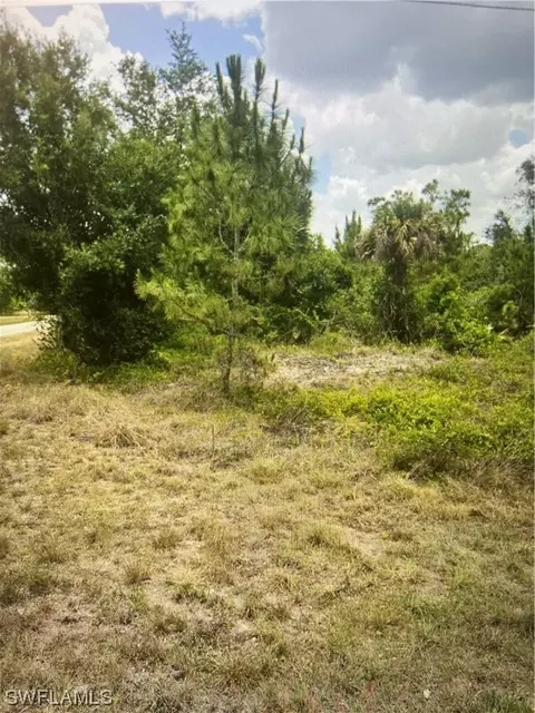 2101 Robert Ave, Alva, FL 33920