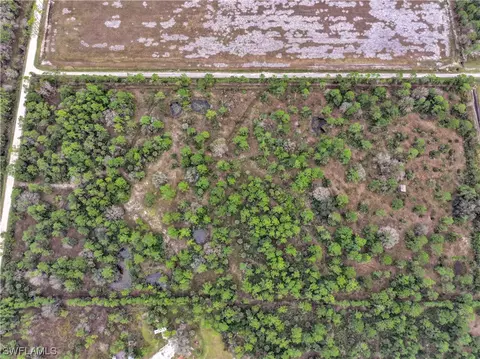 0 Jacks Branch Rd, Labelle, FL 33935 photo 10