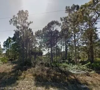 1226 Count St E, Lehigh Acres, FL 33974