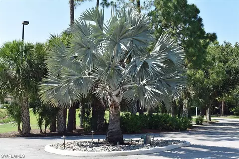 View/Area - 4040 Durango Ct #207, Estero, FL 33928 photo 2 of 7