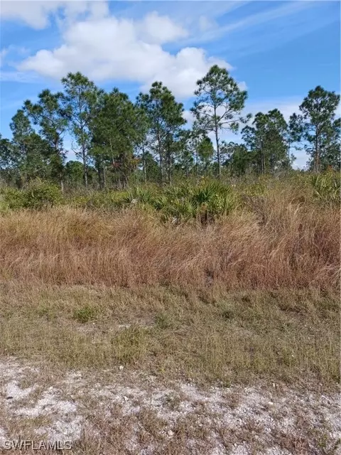 314 Moore Ave, Lehigh Acres, FL 33936