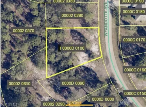 2146 Wyandotte Ave, Alva, FL 33920