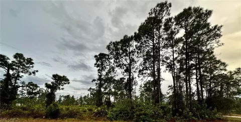 1106 Elegans St E, Lehigh Acres, FL 33974