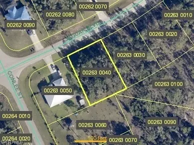 406 Jaguar Blvd, Lehigh Acres, FL 33974