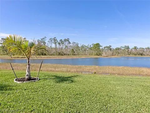 13106 Cardeto Ct, Estero, FL 33928 photo 39