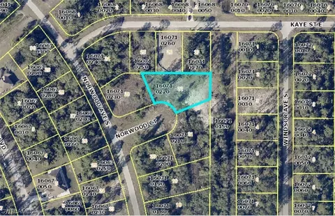 1007 Norwood Ct, Lehigh Acres, FL 33974