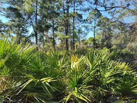 1411 Pine Ave, Lehigh Acres, FL 33972