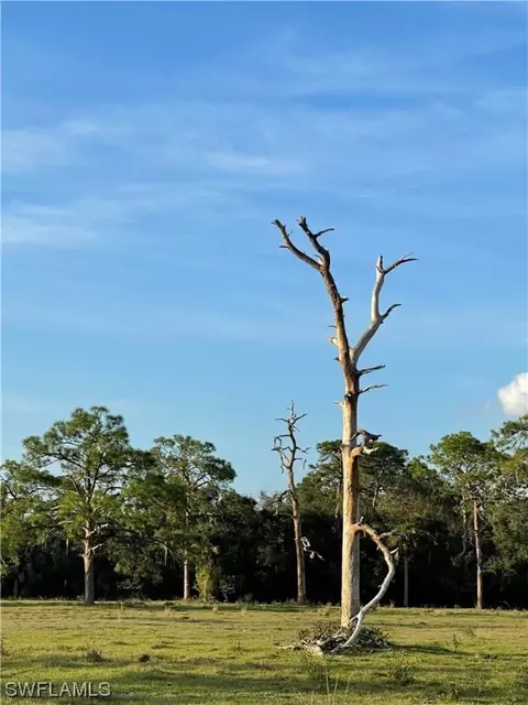 W State Rd 80, Labelle, FL 33935 photo 26