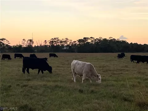 W State Rd 80, Labelle, FL 33935 photo 6