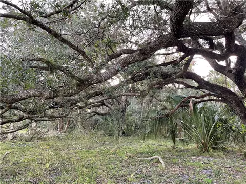 W State Rd 80, Labelle, FL 33935 photo 34