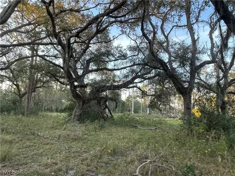 W State Rd 80, Labelle, FL 33935 photo 35