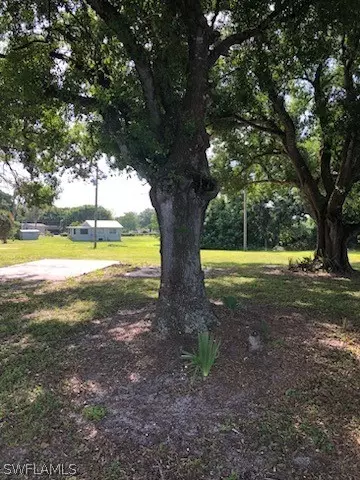 1429 River Rd, Moore Haven, FL 33471 photo 6