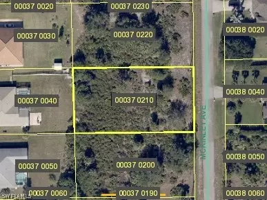 717 Mckinley Ave, Lehigh Acres, FL 33972