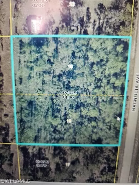 1011 Magnolia Ave, Lehigh Acres, FL 33972