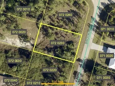 1232 Brookpark Ave, Fort Myers, FL 33913