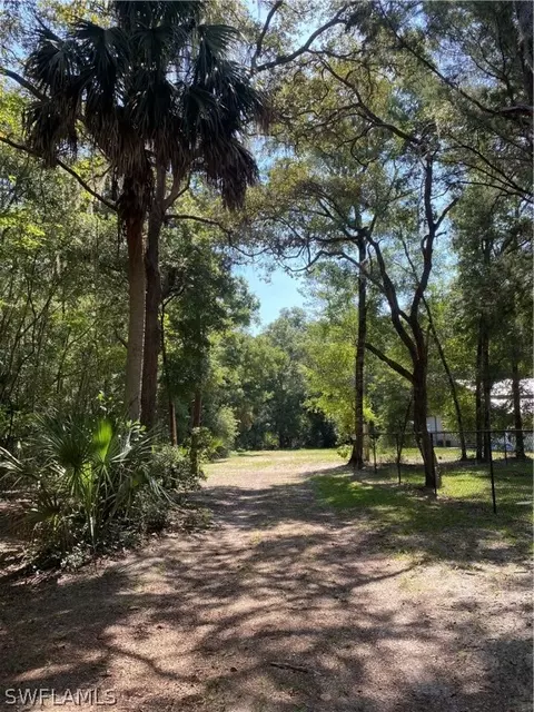 116 SW 814th St, Steinhatchee, FL 32359 photo 3