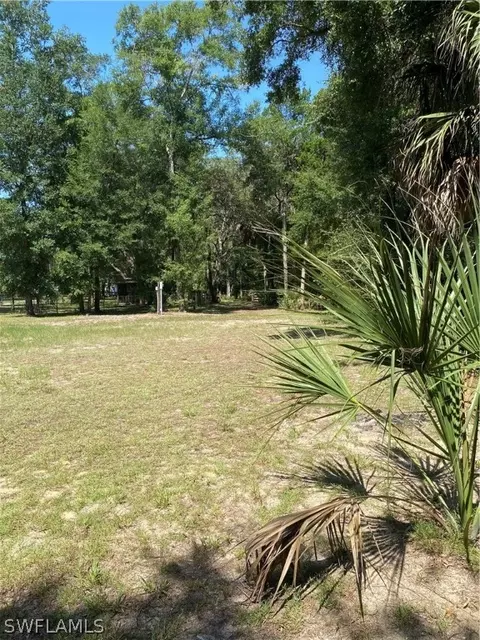 116 SW 814th St, Steinhatchee, FL 32359 photo 18