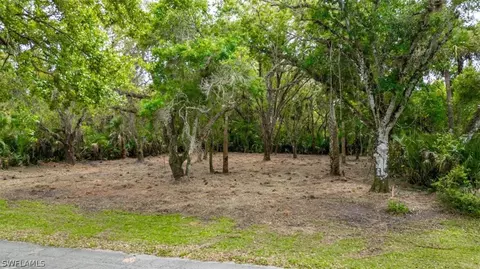 March Ln, Labelle, FL 33935 photo 4