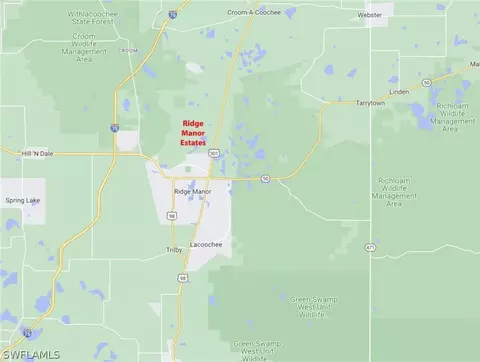 0 Soap Stone St, Webster, FL 33597 photo 3