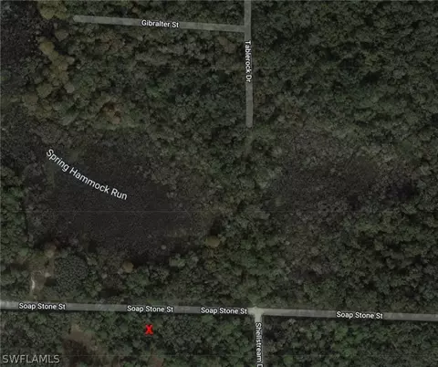 0 Soap Stone St, Webster, FL 33597 photo 2