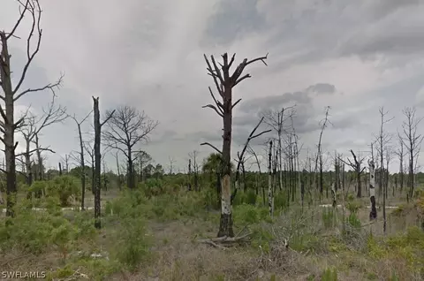 740 S Live Oak St, Clewiston, FL 33440