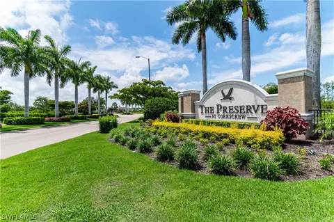 20292 Black Tree Ln, Estero, FL 33928 photo 39