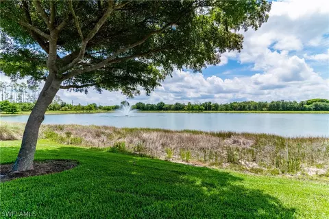 20292 Black Tree Ln, Estero, FL 33928 photo 37
