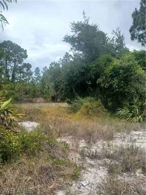 714 Aletha Ave S, Lehigh Acres, FL 33974