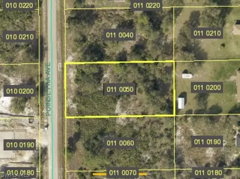 814 Poinsettia Ave, Lehigh Acres, FL 33972