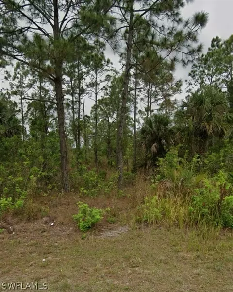 917 Mckinley Ave, Lehigh Acres, FL 33972