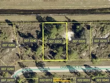 954 Chadwick St, Lehigh Acres, FL 33974