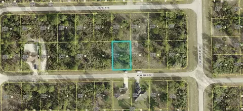 1145 Venetia St, Lehigh Acres, FL 33974