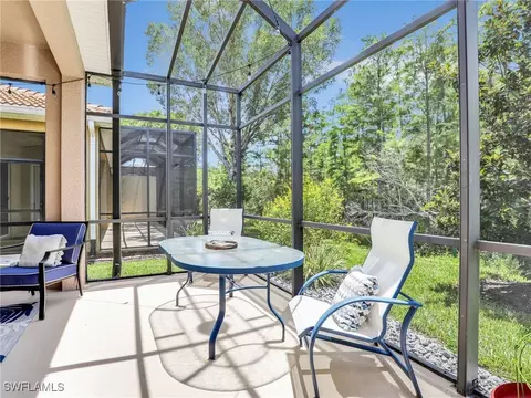21054 Cosenza Ct, Estero, FL 33928 photo 21
