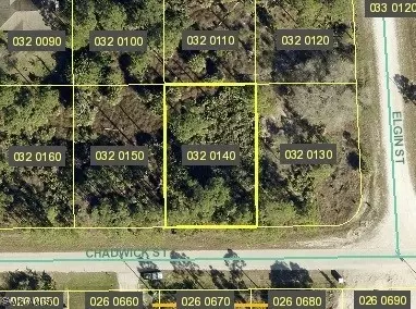 1053 Chadwick St, Lehigh Acres, FL 33974