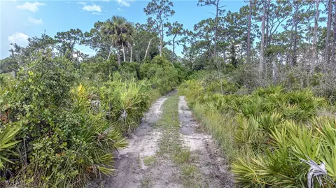 1275 Pine Ave, Labelle, FL 33935 photo 3