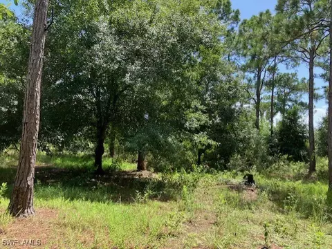 1250 Otter Ave, Clewiston, FL 33440 photo 8