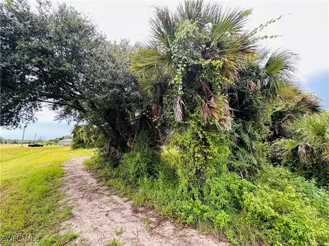 Saturn Loop, Labelle, FL 33935 photo 5