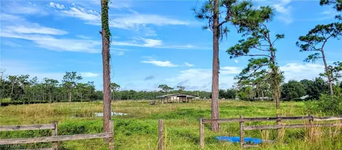 1667 Summerall Rd, Labelle, FL 33935 photo 12