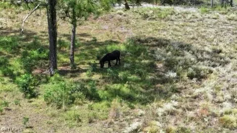 1667 Summerall Rd, Labelle, FL 33935 photo 7