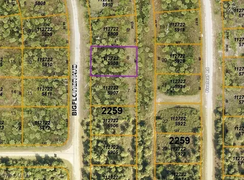 Big Flower Ave, North Port, FL 34288