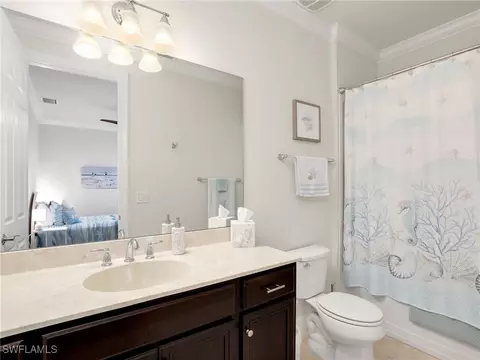 20498 Black Tree Ln, Estero, FL 33928 photo 31