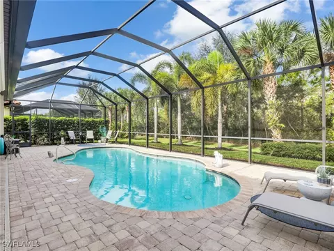 20498 Black Tree Ln, Estero, FL 33928 photo 19