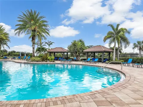 20498 Black Tree Ln, Estero, FL 33928 photo 42
