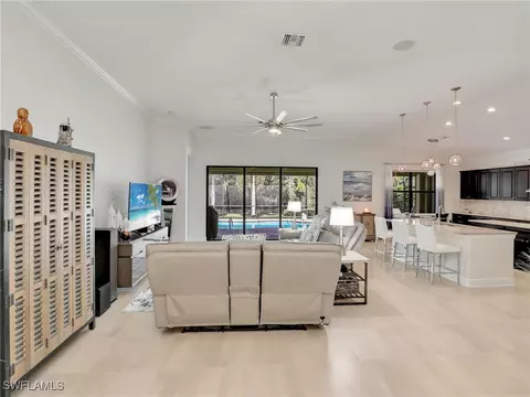 20498 Black Tree Ln, Estero, FL 33928 photo 9